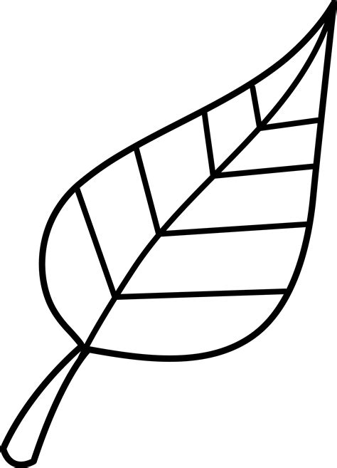 leaf clipart|leaf clip art outline.